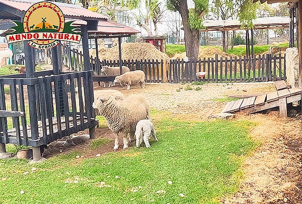 Combo 1: Entrada a la Granja Mundo Natural en Mundo Aventura