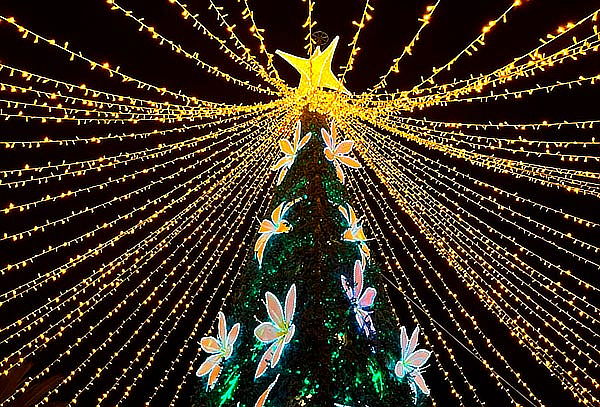 Tour de Luces Navideño por Boyacá con Transporte Incluido