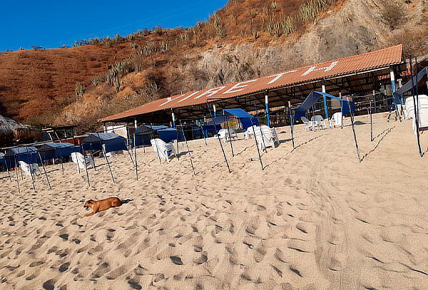 Pasadía en Playa Blanca + Almuerzo
