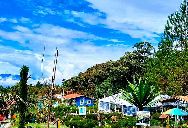 Medellin Tour Silletero: Almuerzo + Bebida + Guía 