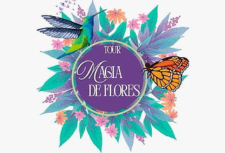 Medellin Tour Silletero: Almuerzo + Bebida + Guía 