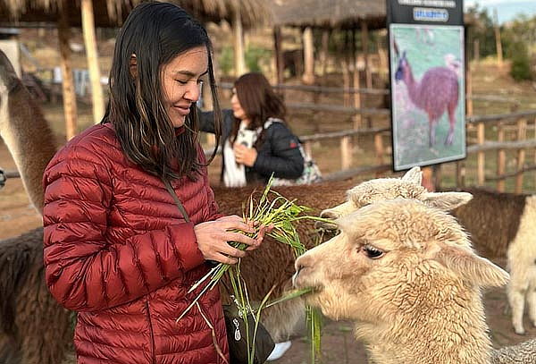 Plan en Machu Picchu y Cusco con Alojamiento 