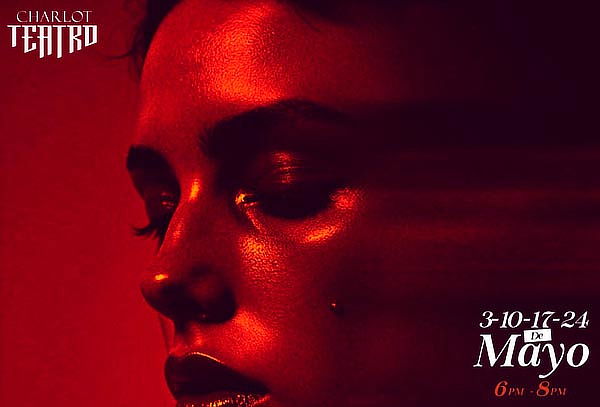 Entrada para la Obra ¿Quién prendió la plancha? 