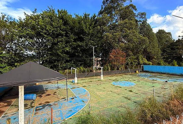 Día de Sol Canino + Actividades + Personal Especializado 