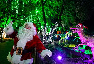 Recorrido Circuito de Luces por Boyacá + Transporte 