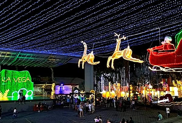 Tour Navidad Mágica: Del Frío al Cálido + Destino Sorpresa