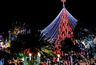 Tour Navidad Mágica: Del Frío al Cálido + Destino Sorpresa