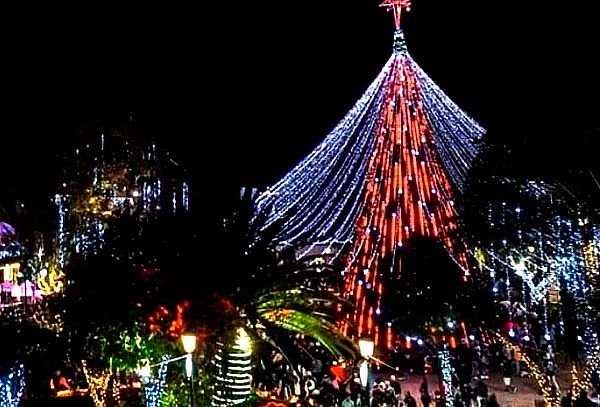 Tour Navidad Mágica: Del Frío al Cálido + Destino Sorpresa