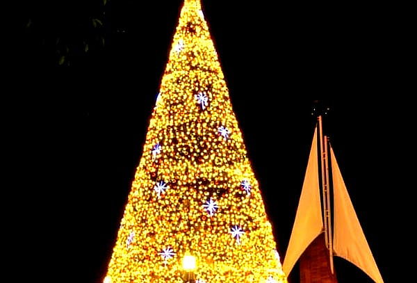 Tour Navidad Mágica: Del Frío al Cálido + Destino Sorpresa