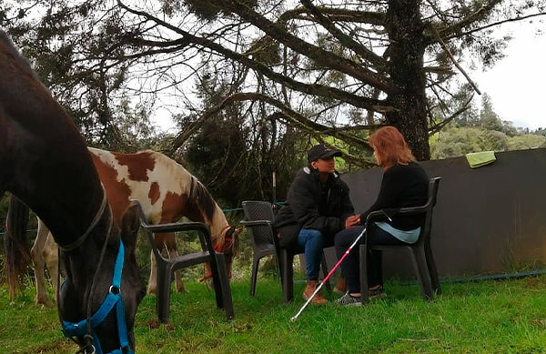 Constelaciones Familiares Asistidas con Caballos 