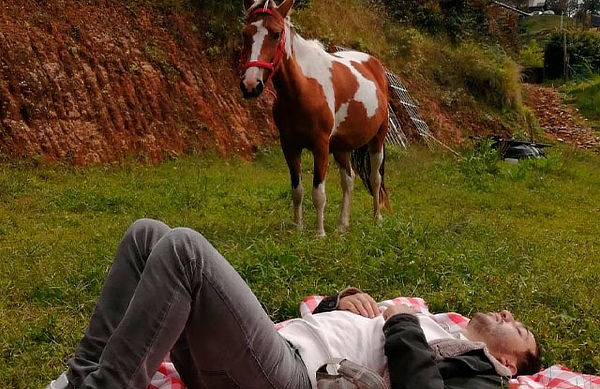 Constelaciones Familiares Asistidas con Caballos 