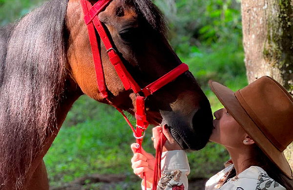Constelaciones Familiares Asistidas con Caballos 