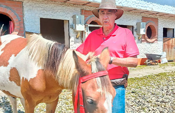 Constelaciones Familiares Asistidas con Caballos 