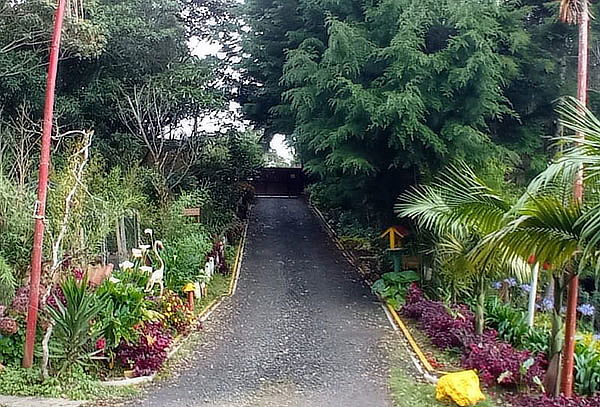 Mini Glamping en Santa Elena: Escapada Mágica para 2 