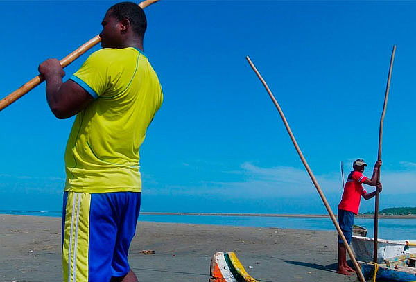  Recorrido por los Manglares + Traslado Ida y Regreso