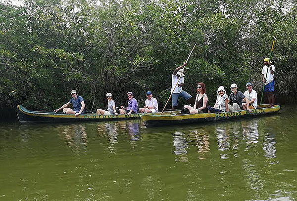  Recorrido por los Manglares + Traslado Ida y Regreso