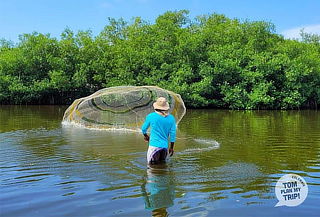  Recorrido por los Manglares + Traslado Ida y Regreso