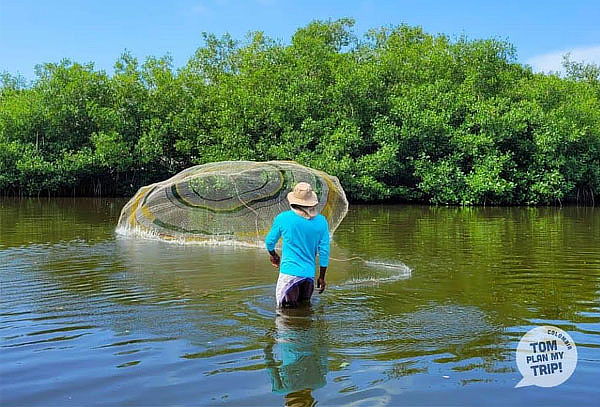  Recorrido por los Manglares + Traslado Ida y Regreso