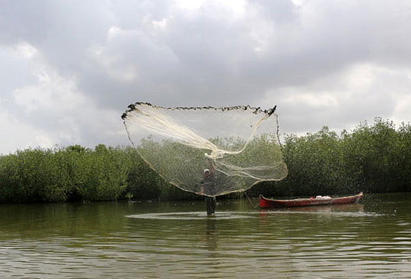  Recorrido por los Manglares + Traslado Ida y Regreso
