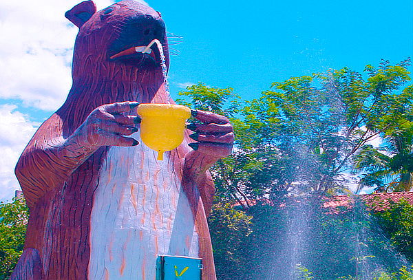 Parque Acuático Kanaloa 9 Atracciones + Granja Makondo