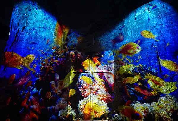 Catedral de Sal de Zipaquira, Pasaporte BASIC