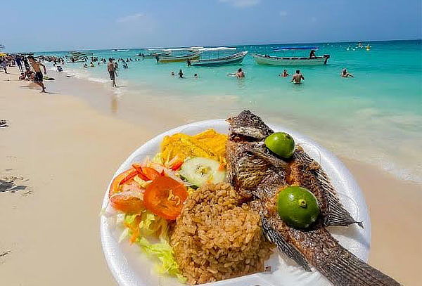 Tour Barú + Snorkel + Recorrido Islas del Rosario +Manglares