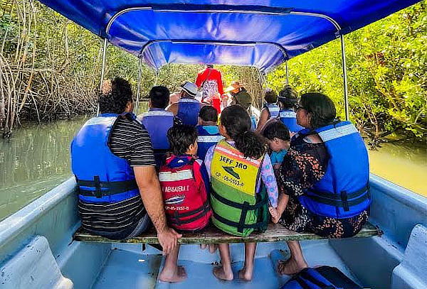 Tour Barú + Snorkel + Recorrido Islas del Rosario +Manglares