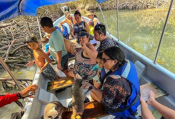 Tour Barú + Snorkel + Recorrido Islas del Rosario +Manglares