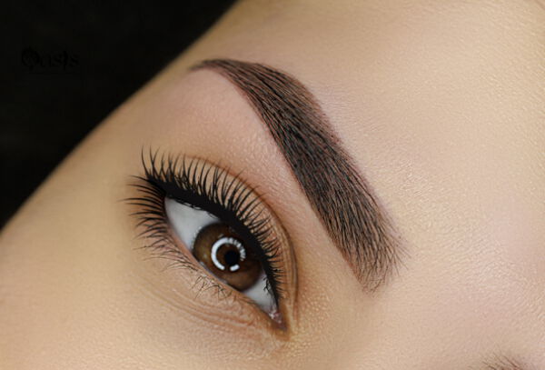 Micropigmentación De Cejas Efecto Polvo 