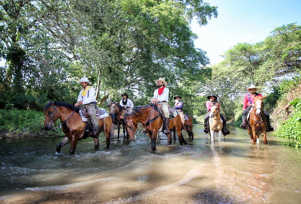 Cabalgata en Caldas para 1 Persona + Guía + Burroteca