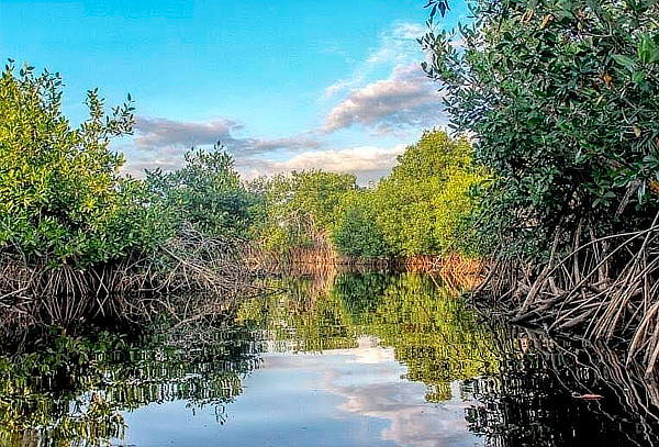 Tour Jhonny Cay + Acuario Haynes Cay + Manglares
