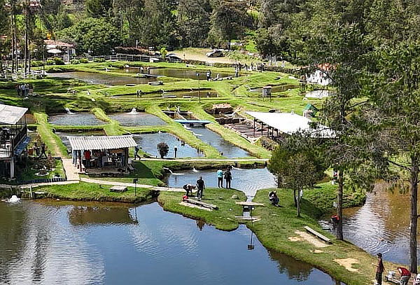 Plan para 2: Día de Pesca en Truchera + Almuerzo + Mini Golf