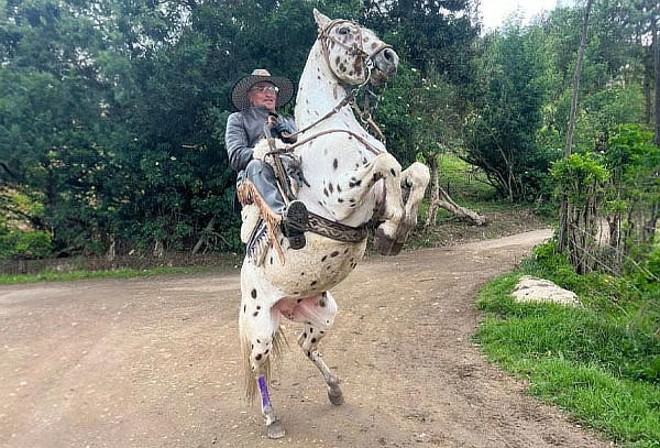 Cabalgata para 2 personas + Almuerzo + Fotos  + Vídeo 