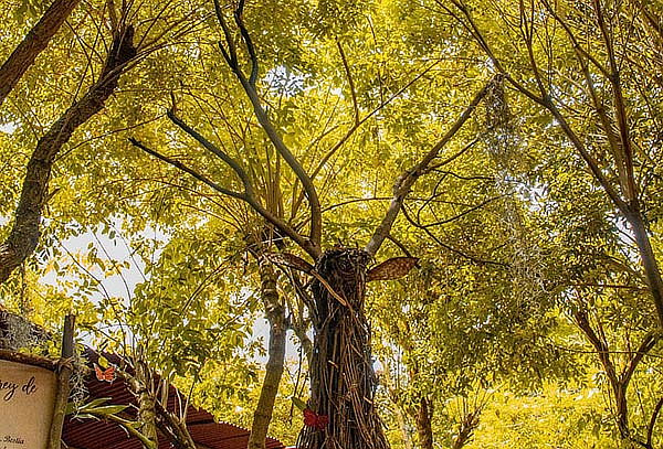 2 Entradas Bioparque Monarca Únete a la Maravillosa Aventura