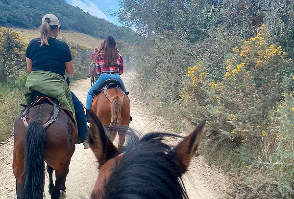 Cabalgata en La Calera para 3 o 5 Personas + Canelazo