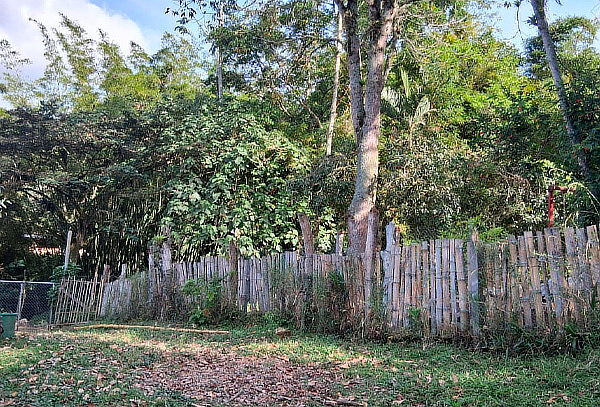 Alojamiento en Zona de Camping - Silvania