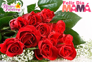 Bouquet de 12 Rosas + Almendras 61%
