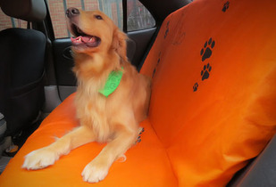 OUTLET - Forro Impermeable Mascotas