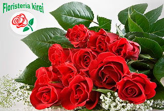 Bouquet de 12 Rosas Rojas Domicilio