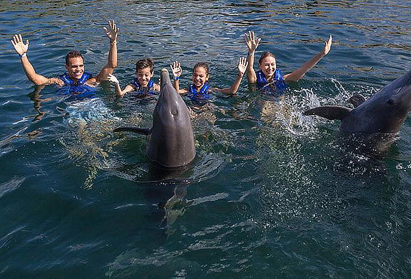 Nado con delfines en tu lugar favorito: Splash o Ride