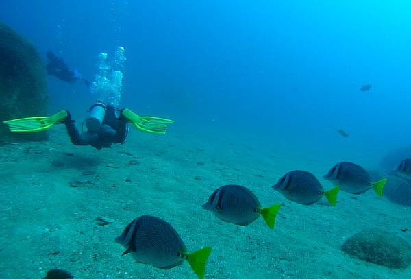 ¡Aprende a Bucear! 1 Clase en Escuela de Buceo Líquido Azul