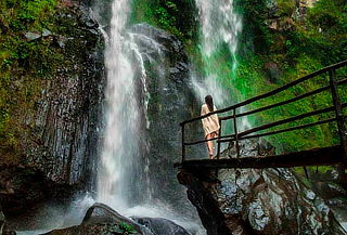 2x1 Cascadas y Bosques Paraíso + Vinos artesanales