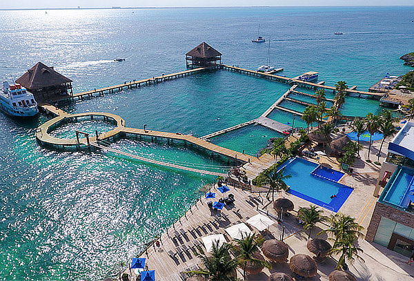 Encuentro con Delfines + Royal Garrafón en Isla Mujeres 