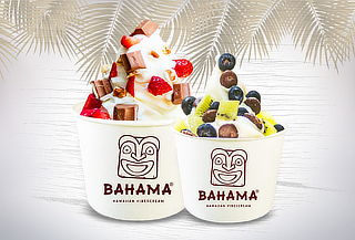 2 Helados Frozen Yogurt 12 oz en Bahama Insurgentes Sur