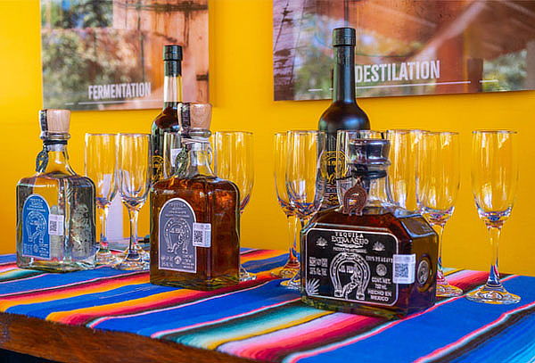 TOUR SAYULITA +  SAN PANCHO en Puerto Vallarta!