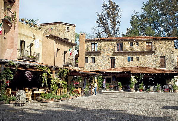 Cultivos de LAVANDA + VALQUIRICO ¡Fecha a elegir!