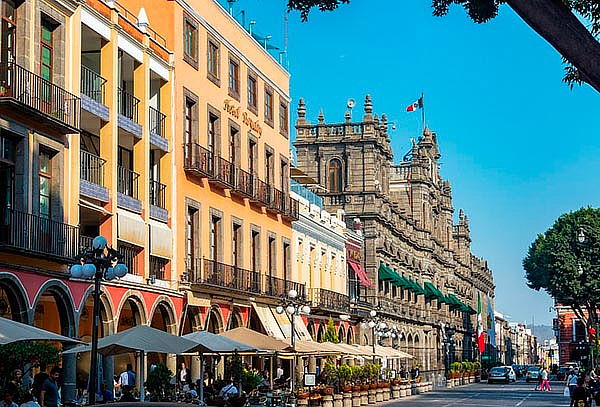 Cultivos de LAVANDA + VALQUIRICO ¡Fecha a elegir!