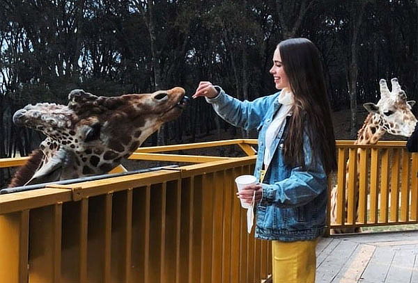 Acceso a Bioparque el Safari más Grande de México