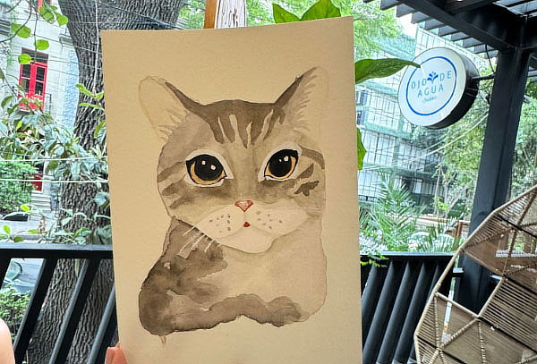 Explora tu lado Artístico con Clase de Pintura con Acuarela