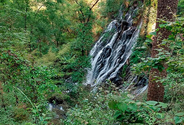 Valle de Bravo + Metepec y más ¡Noviembre o Enero!